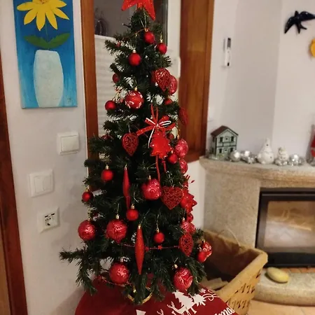 Saudade Gafanha da Boa Hora